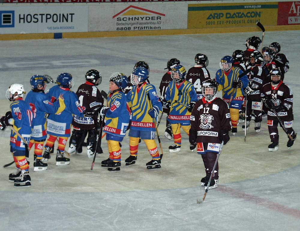 Rapperswil