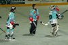 EHC Uzwil - Lakers (35)