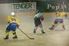 EHC Schaffhausen - Lakers (27)