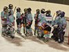 Lakers - EHC Schaffhausen (16)