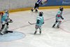 Moskito Turnier GCK Lions (18)