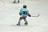 Moskito Turnier GCK Lions (17)
