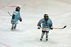 Moskito Turnier GCK Lions (27)