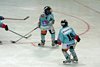 Moskito Turnier GCK Lions (1)