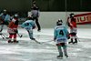 Moskito Turnier Urdorf (1)
