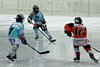 Moskito Turnier Urdorf (36)