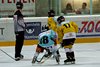 Moskito Turnier Rapperswil (30)