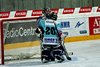 Moskito Turnier Rapperswil (20)