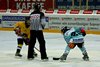 Moskito Turnier Rapperswil (48)