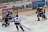 EHCW - HCL (10)