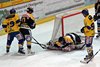 EHC Uzwil - EHC Wetzikon (32)