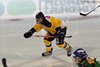 EIE - EHCW (33)