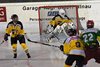 EIE - EHCW (30)