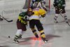 EIE - EHCW (48)