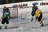EIE - EHCW (35)