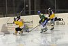 EIE - EHCW (84)