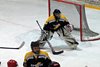 EHCW - Thurgauer Eishockey-Young Lions (8).