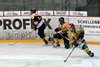 EHCW - Thurgauer Eishockey-Young Lions (22).