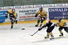 EHCW - Thurgauer Eishockey-Young Lions (19).