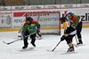 EHCW - HC Eisbären (16)