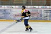 EHCW - HC Eisbären (13)