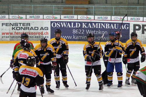 EHC Wetzikon Novizen A