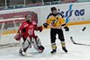 EHC WInterthur - EHCW (100)