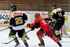 EHCW - EHC Winterthur (60)