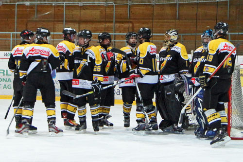 EHC Wetzikon Novizen A