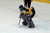 GCK Lions - EHCW (123)