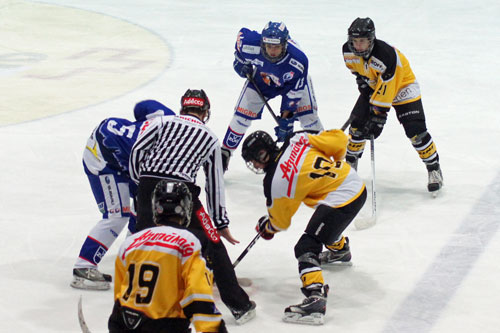 EHC Wetzikon Novizen A