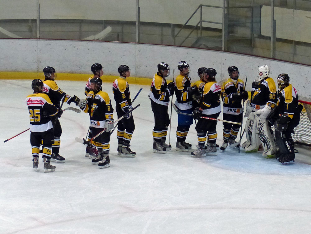 GCK Lions - EHC Wetzikon
