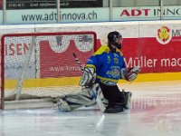 2016.12.02 EHC Blau-Weiss-Dübendorf - EHC Camel (1)