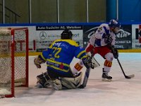 Bäretswil 28 Januar 2017 (14)
