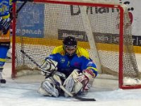 Bäretswil 9 Oktober 2016 (32)