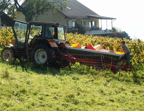 Wuemmet 2006