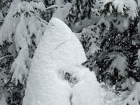 2007 Schnee Flims (5)
