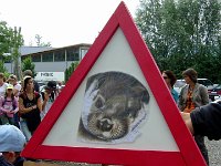 Waldtageslager 2008 (1)