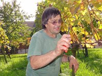 Wümmet 2010 (20)