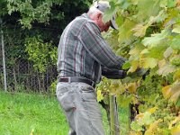 Wümmet 2010 (8)
