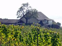 Wümmet 2011 (113)