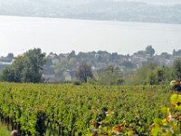 Wümmet 2011 (114)