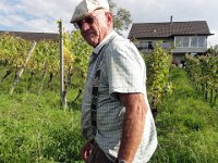 Wümmet 2011 (118)