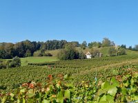 Wümmet 2011 (13)