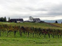 Wümmet 2011 (147)