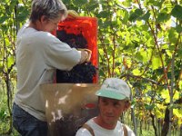 Wümmet 2011 (17)