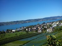 Wümmet 2011 (2)