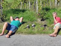 Wümmet 2011 (33)