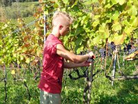 Wümmet 2011 (59)