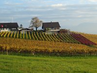 Wümmet 2011 (6)